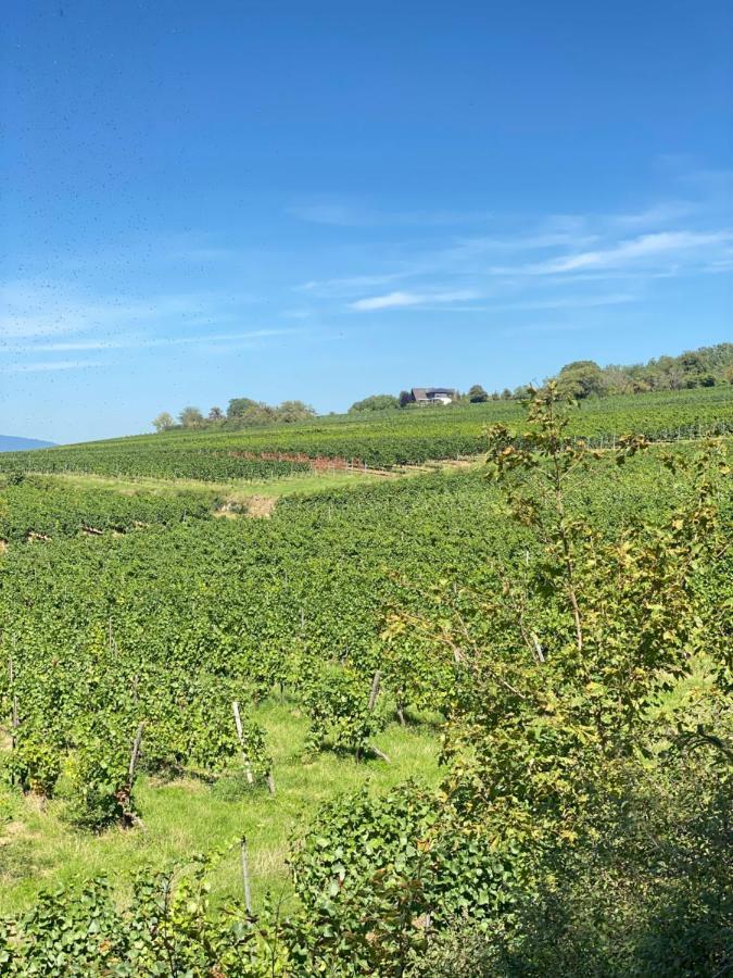 Haeuschen Am Plenzer Hébergement de vacances